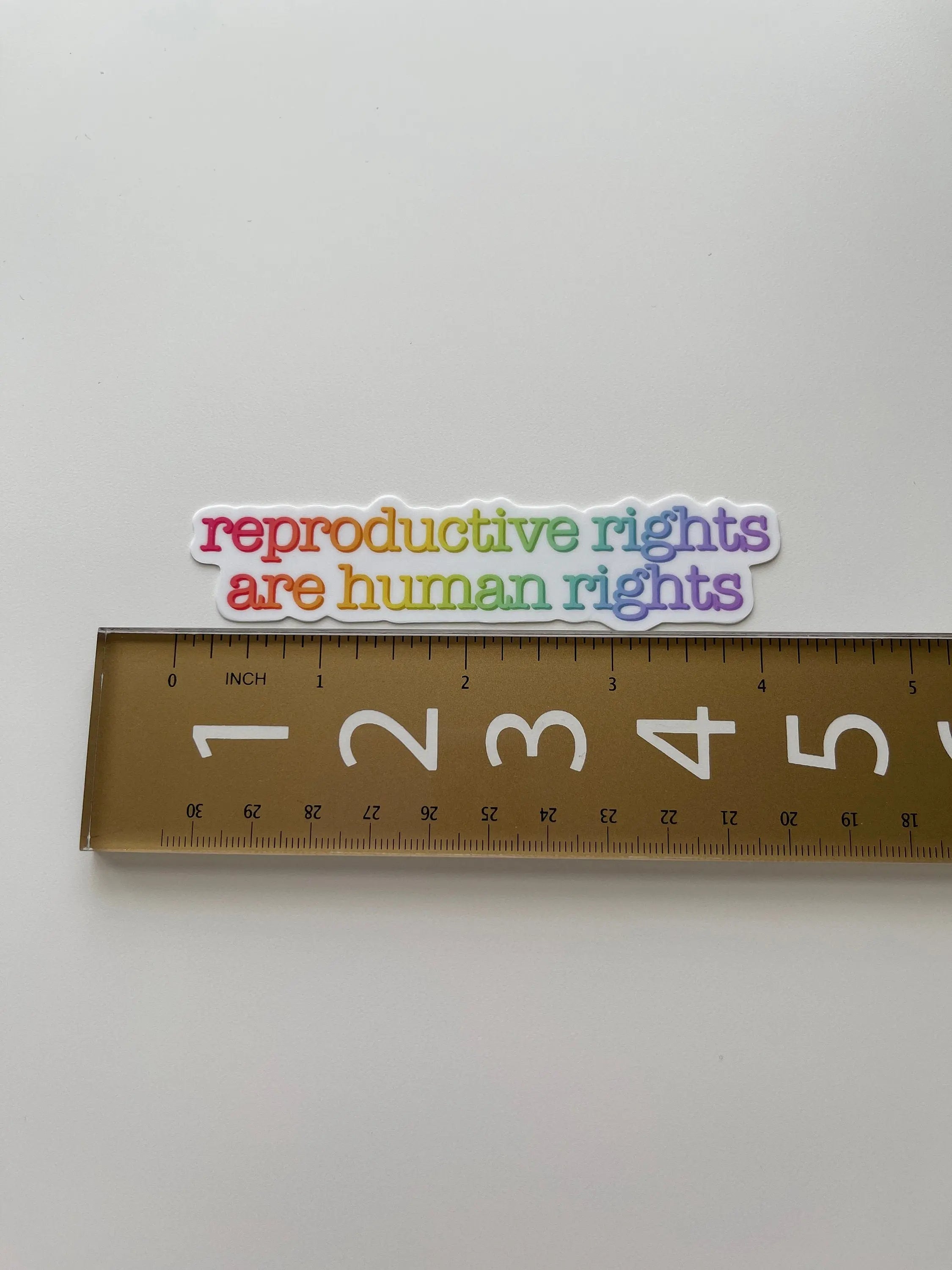 Reproductive rights are human rights sticker MangoIllustrated