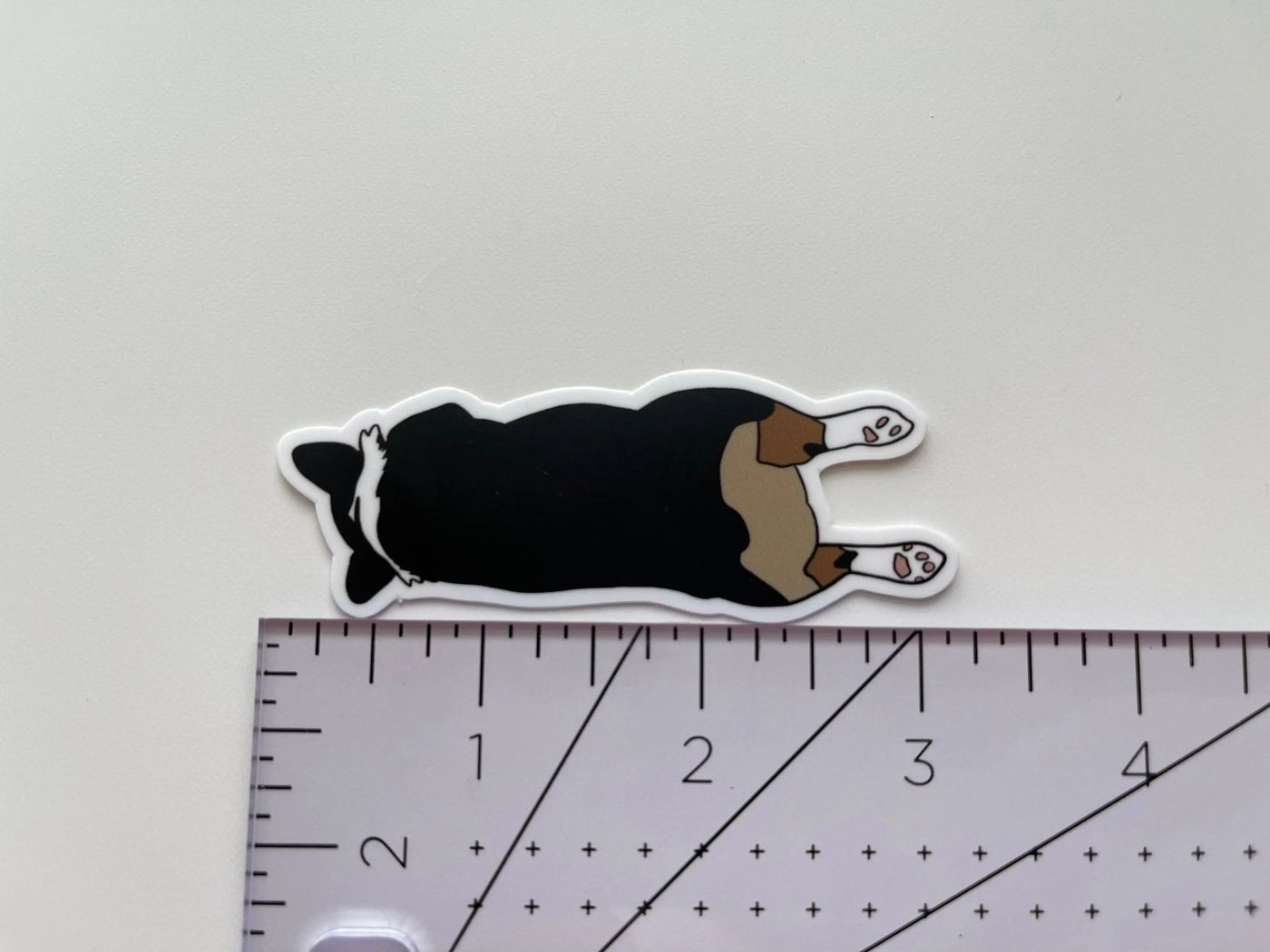 Corgi Sploot sticker - MangoIllustrated - Sticker