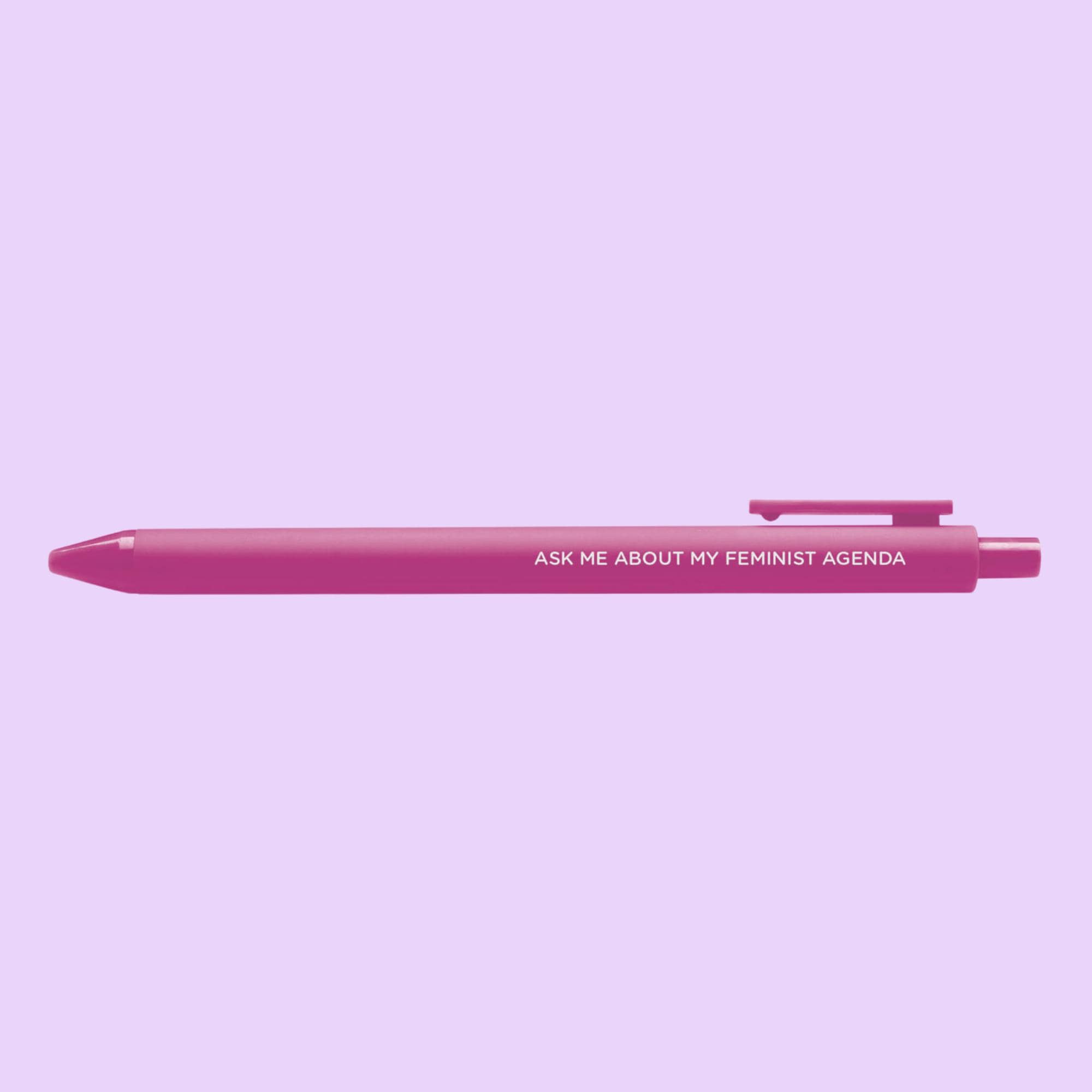 Ask me about my feminist agenda pen, feminist pen, gift for feminist